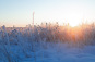 Förvaltningskommentar februari 2023