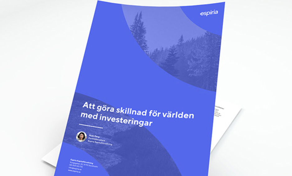 Att Göra Skillnad För Världen Med Investeringar
