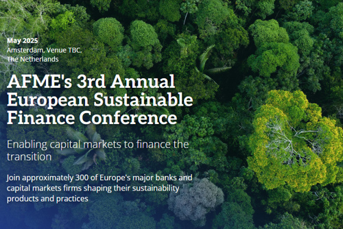 A moment of reflections on Sustainable Investing
